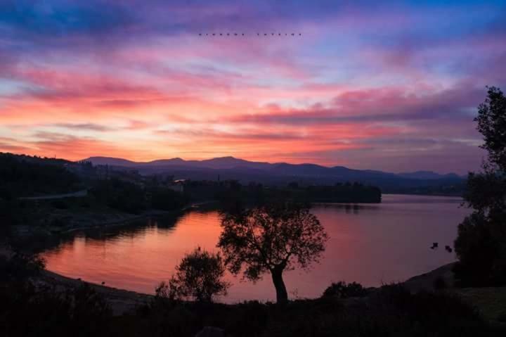 Gougousis Apartments Kaloyiros Εξωτερικό φωτογραφία
