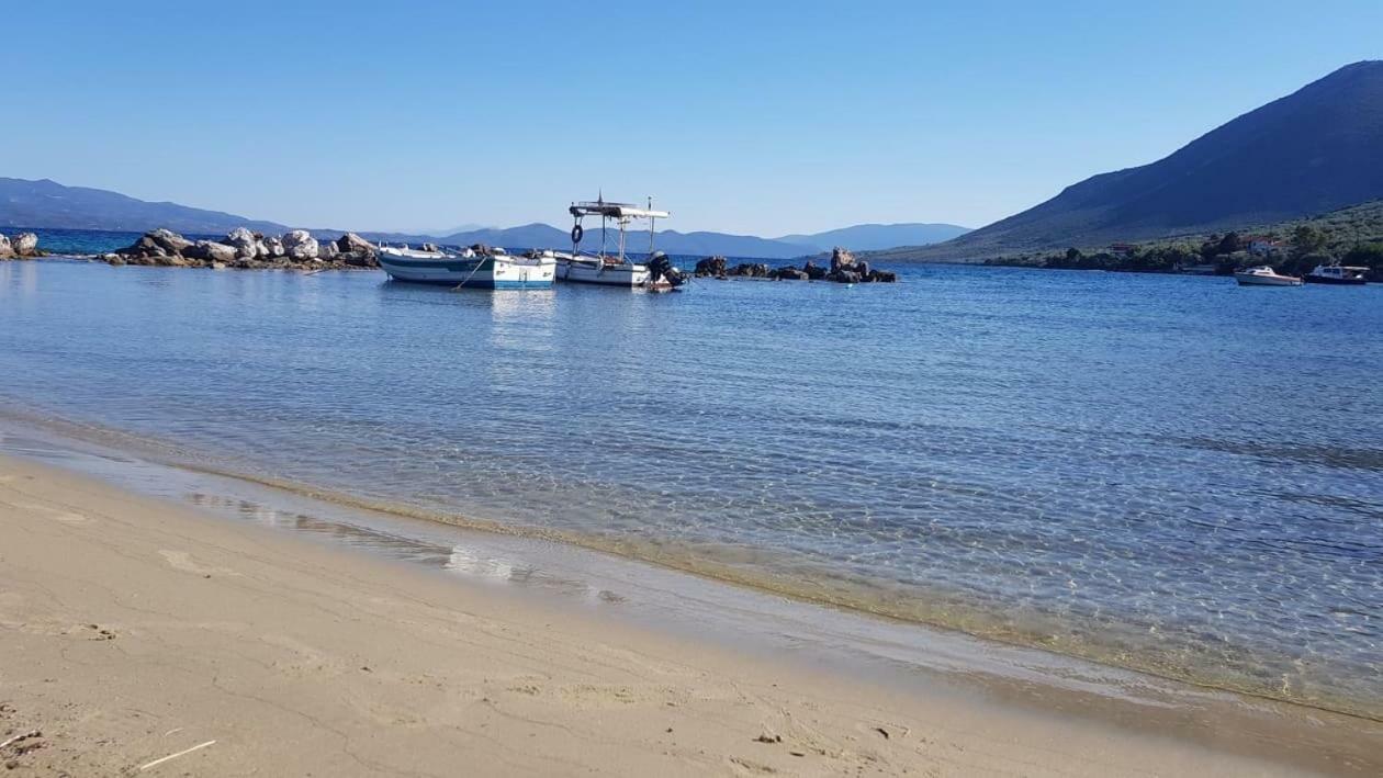 Gougousis Apartments Kaloyiros Εξωτερικό φωτογραφία