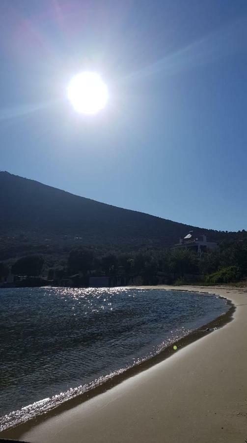 Gougousis Apartments Kaloyiros Εξωτερικό φωτογραφία